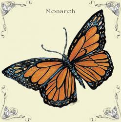 Butterfly Monarch | Obraz na stenu