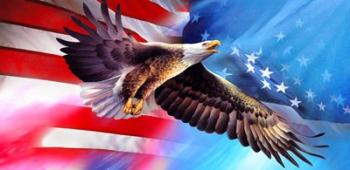 American Eagle Flag | Obraz na stenu