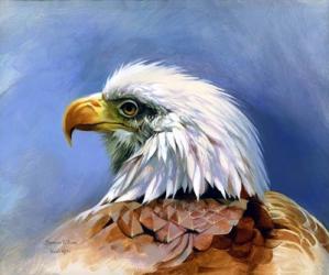 Eagle Portrait | Obraz na stenu