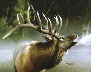 Elk In Mist | Obraz na stenu