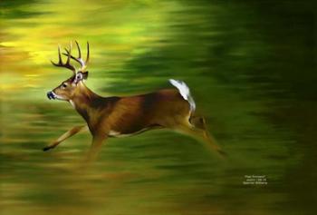 Running Deer | Obraz na stenu