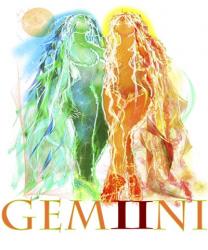 Gemini | Obraz na stenu