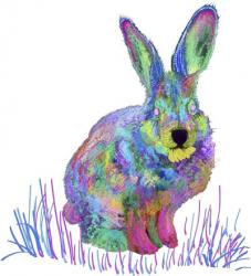 Psychedelic Rainbow Bunny | Obraz na stenu