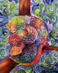 Rainbow Snake | Obraz na stenu