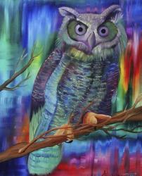 Rainbow Owl | Obraz na stenu