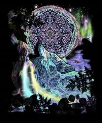 Dreamcatcher Wolf | Obraz na stenu