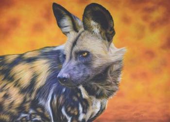 African Wild Dog | Obraz na stenu