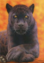 Black Jaguar | Obraz na stenu