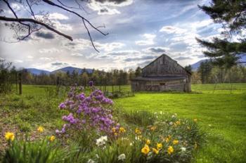 Spring Barn | Obraz na stenu