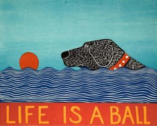 Life is a Ball Black | Obraz na stenu
