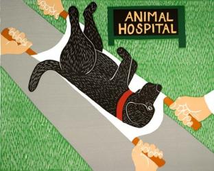 Animal Hospital | Obraz na stenu