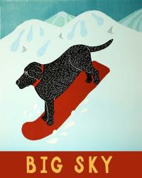 Big Sky Snowboard Black | Obraz na stenu