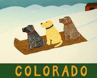 Colorado Sled Dogs | Obraz na stenu