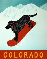 Colorado Snowboard Black | Obraz na stenu
