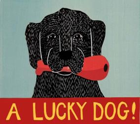 Lucky  Dog Black | Obraz na stenu