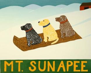 Mt. Sunapee Sled Dogs Template | Obraz na stenu