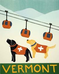 Vermont Ski Patrol Black | Obraz na stenu