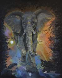 Elephant Dreams | Obraz na stenu