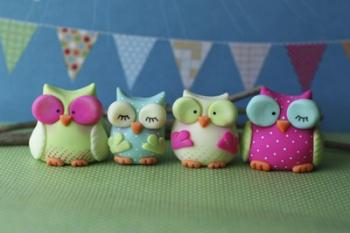 Owls Multi Color Brights | Obraz na stenu