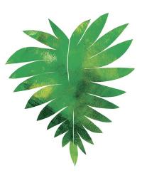 Palm Leaf 1 | Obraz na stenu