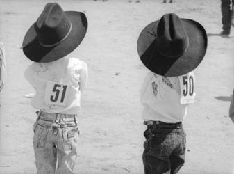 Littlest Cowboys: 50 & 51 | Obraz na stenu