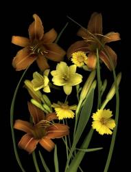 Lilies & Coreopsis | Obraz na stenu