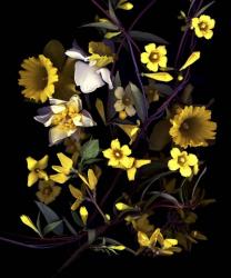 Yellow | Obraz na stenu