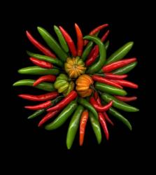 Hot Peppers 1 | Obraz na stenu