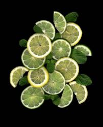 Lemons, Limes & Mint | Obraz na stenu
