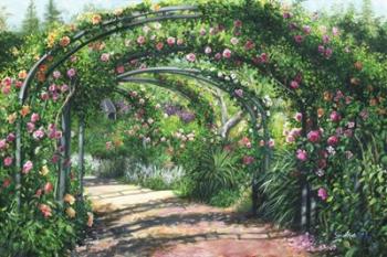 Rose Garden Arches | Obraz na stenu