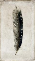 Feather 2 | Obraz na stenu