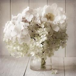 White Flower Vase | Obraz na stenu