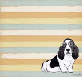 Basset Hound 1 | Obraz na stenu