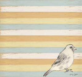 Bird Stripes | Obraz na stenu
