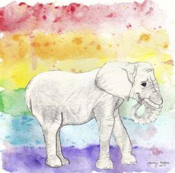 Rainbow Elephant | Obraz na stenu
