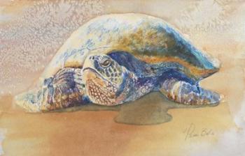 Tilly the Turtle | Obraz na stenu