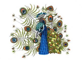 Percival Peacock | Obraz na stenu