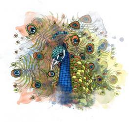 Percival The Peacock | Obraz na stenu