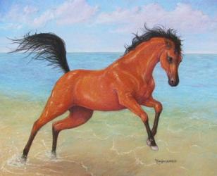 Horseplay | Obraz na stenu