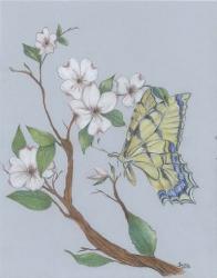 Dogwood Butterfly | Obraz na stenu