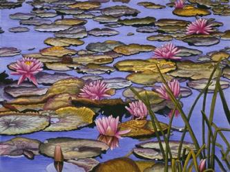 Water Lilies | Obraz na stenu