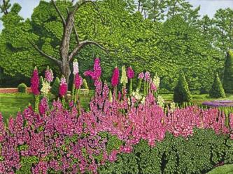 Foxglove Garden | Obraz na stenu