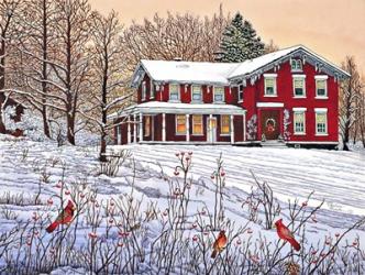 King's Cardinals, Eden Ny | Obraz na stenu