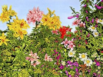 Lovely Lillies | Obraz na stenu