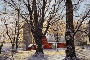 Maple Syrup Time, Collins Center Ny | Obraz na stenu