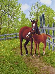 Mother's Love, Machias Ny | Obraz na stenu