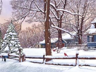 New Oregon Road - Cardinals, Eden Ny | Obraz na stenu
