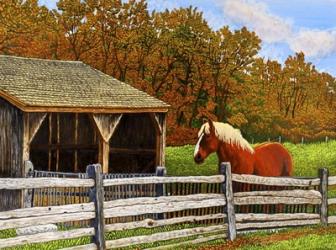 Old Horse Shed, Mumford Ny | Obraz na stenu