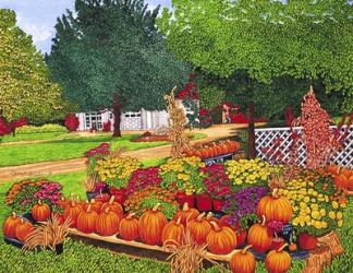 Pumpkins In Patchin, Ny | Obraz na stenu