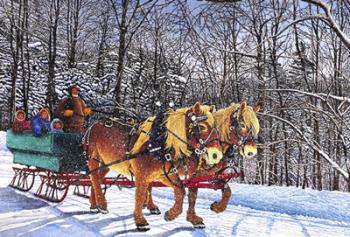 Sleigh Ride At Chestnut Ridge, Orchard Park, Ny | Obraz na stenu